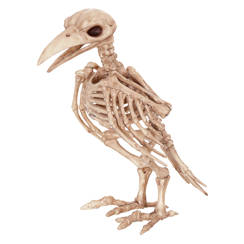 Skeleton Raven