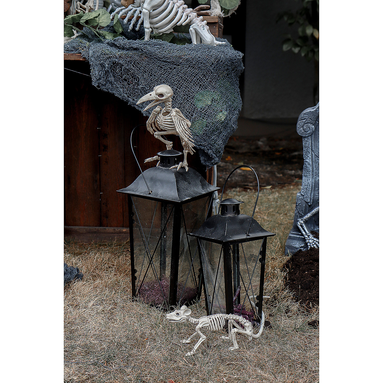 Skeleton Raven