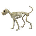 Brutus Bonez Skeleton