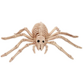 Skeleton Spider