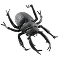 BLACK BEETLE