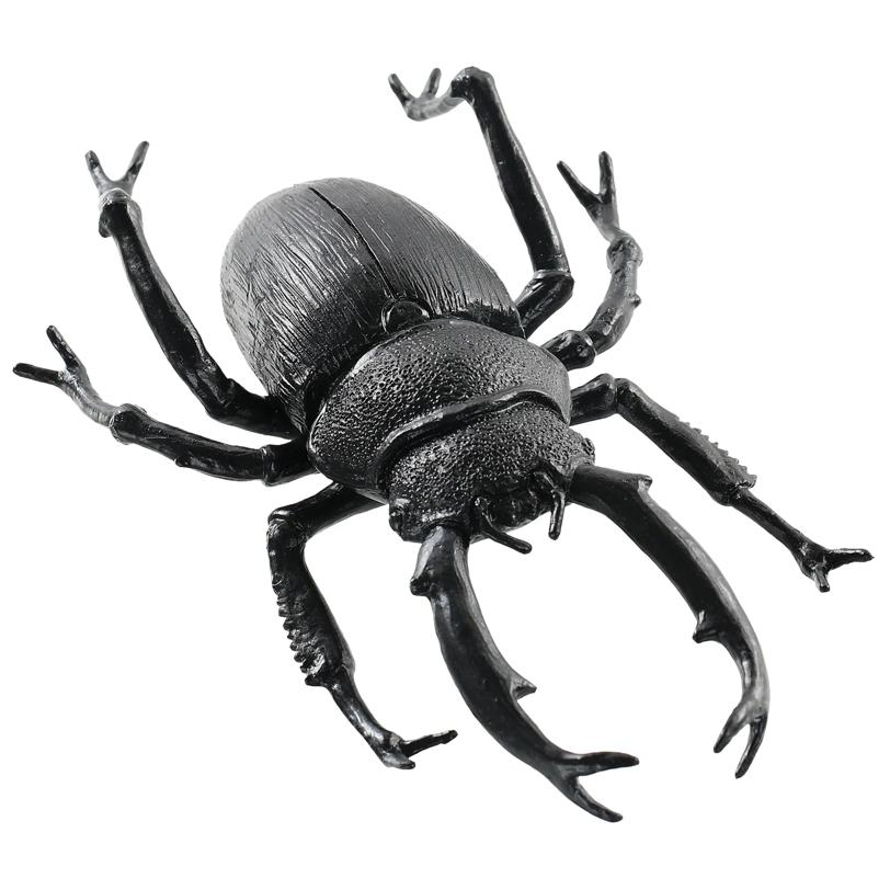 BLACK BEETLE