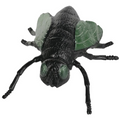 HOUSE FLY