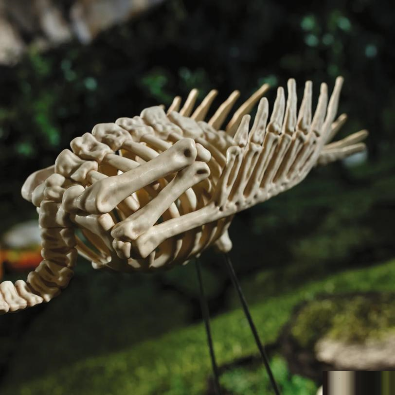 FLAMINGO SKELETON 27 IN