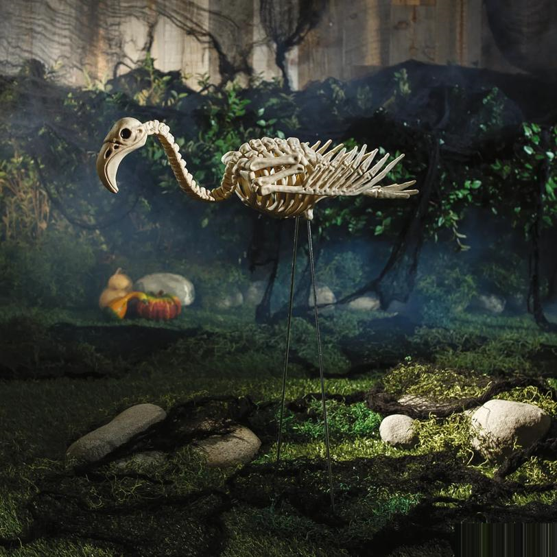 FLAMINGO SKELETON 27 IN