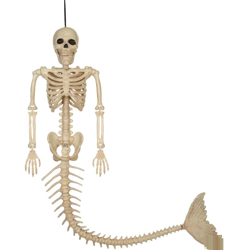 MERMAID SKELETON