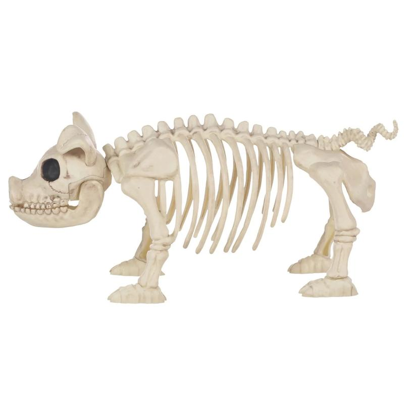PIG SKELETON