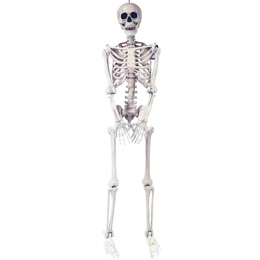 SKELETON POSE AND HOLD