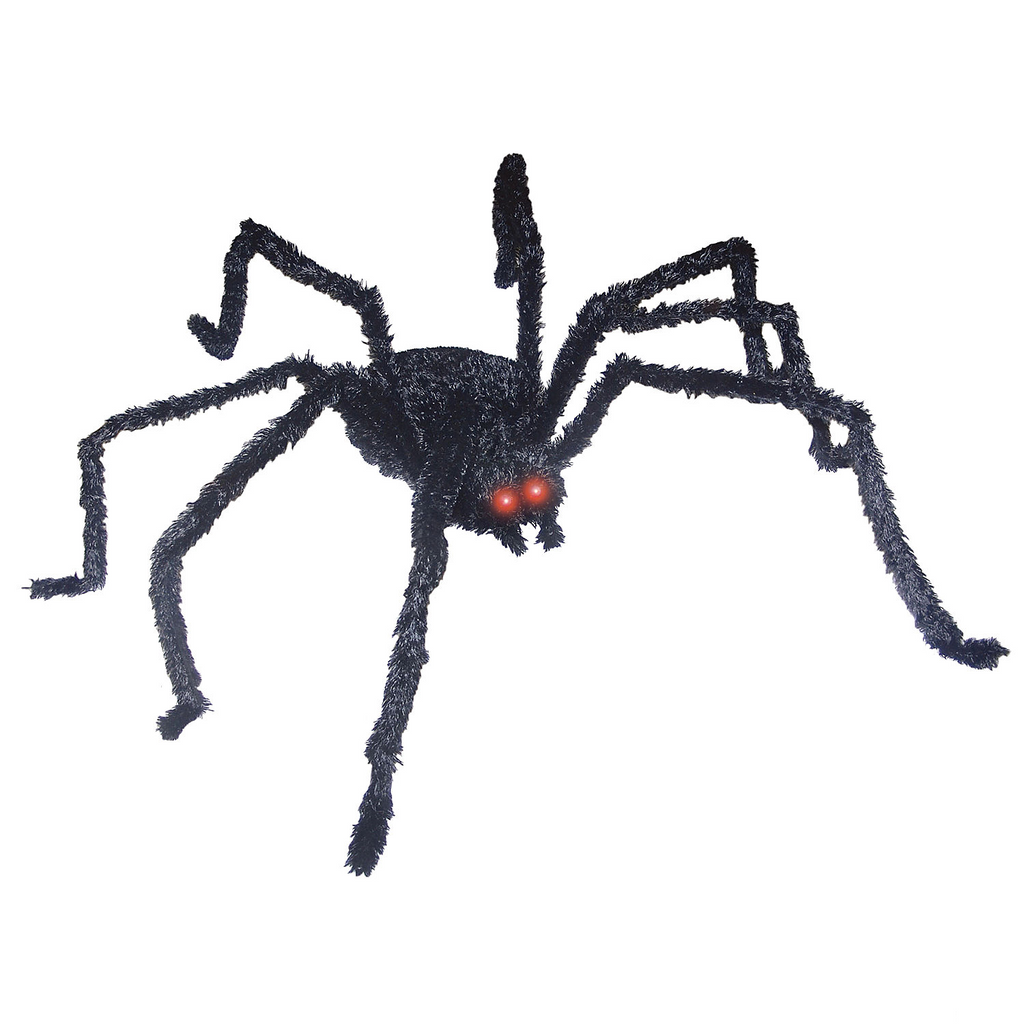 Giant Hairy Spider