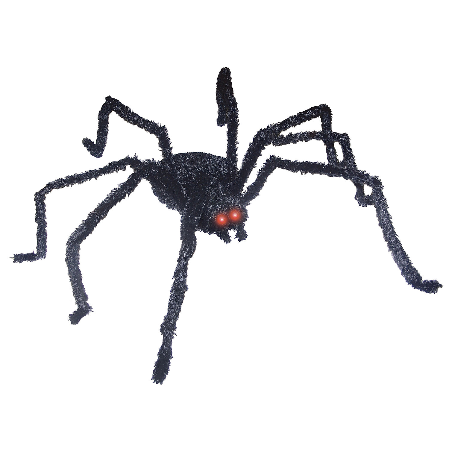 Giant Hairy Spider