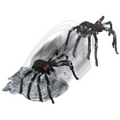 JUMPING SPIDER BLACK