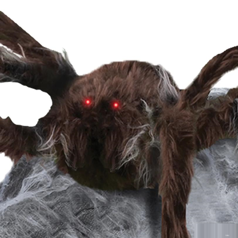 JUMPING SPIDER BROWN
