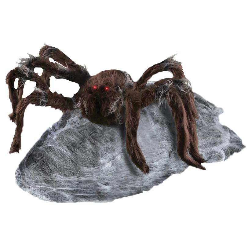JUMPING SPIDER BROWN