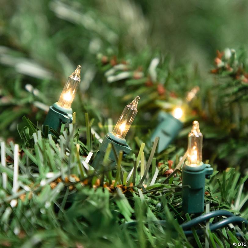 Northlight 100-Count Clear Mini Christmas Light Set  20.25ft Green Wire