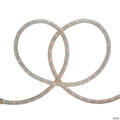 Northlight 100ft Clear Incandescent Outdoor Christmas Rope Lights