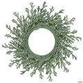 Northlight 20" Green Glittered Artificial Coral Christmas  Wreath