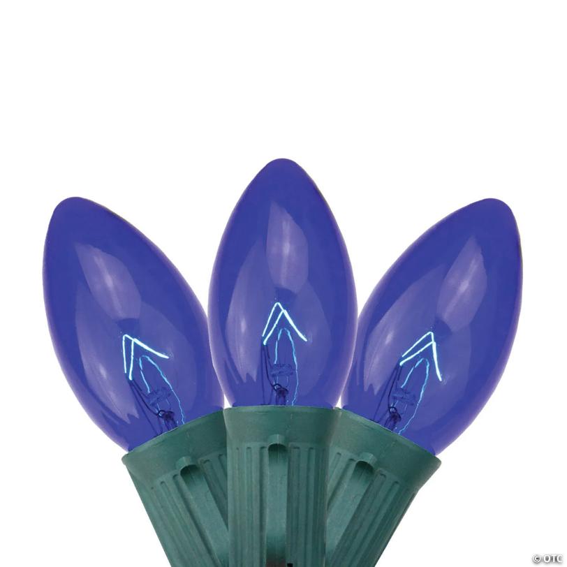 Northlight 25 Blue Transparent C9 Christmas Lights - 24 ft Green Wire