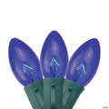 Northlight 25 Blue Transparent C9 Christmas Lights - 24 ft Green Wire