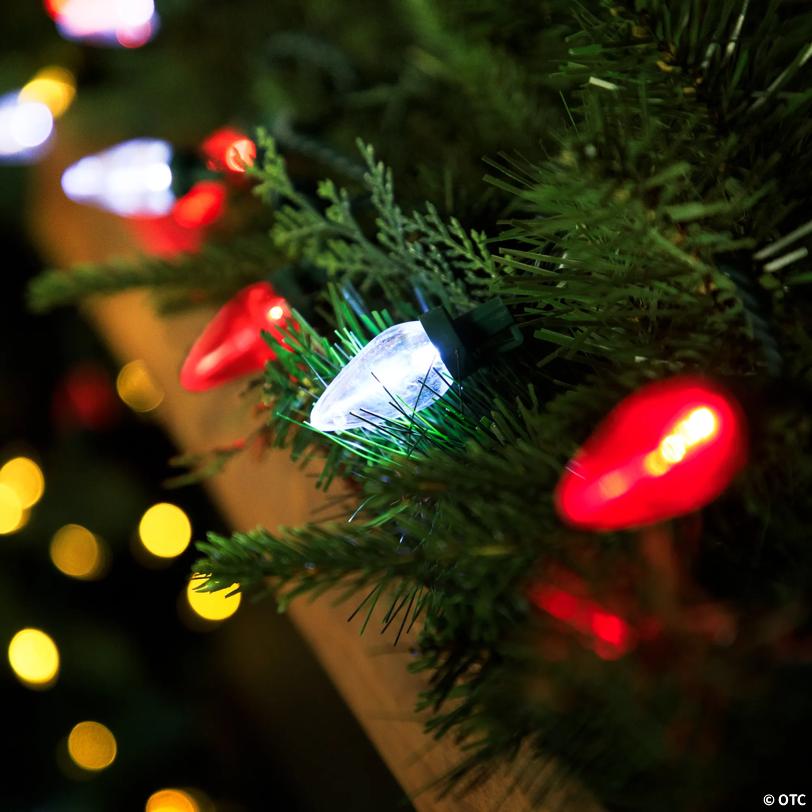 Northlight 25 Red and White LED C7 Christmas Lights - 16 ft Green Wire