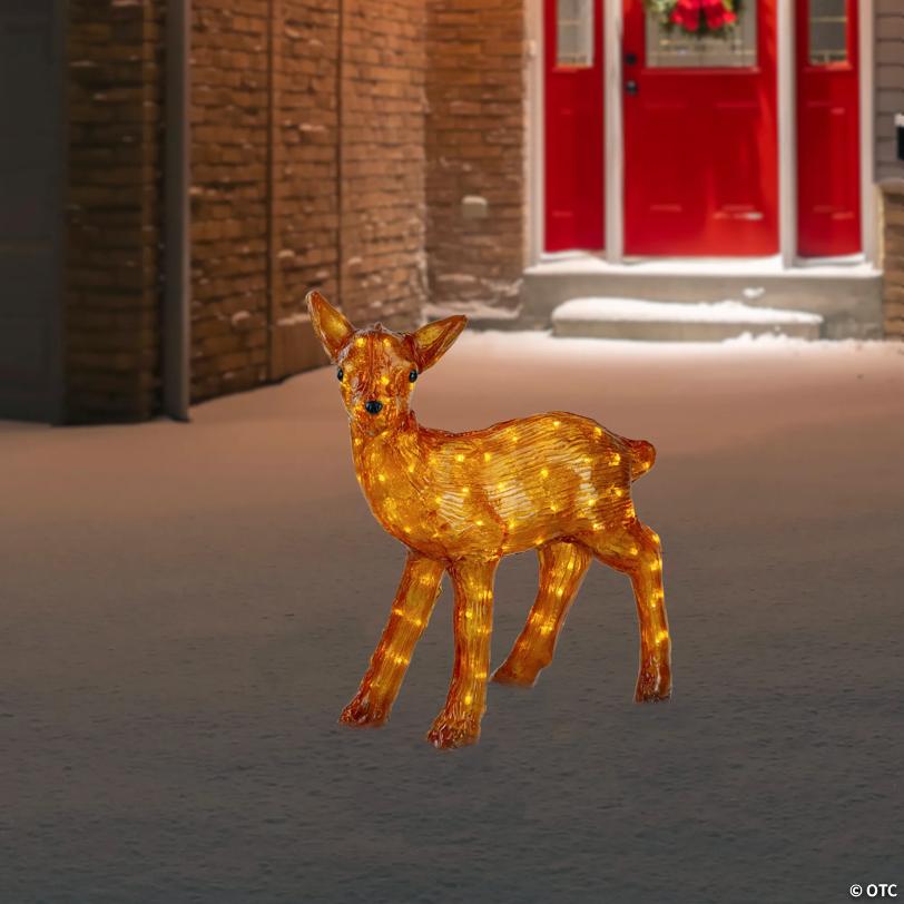 Northlight 2' Pre-Lit Acrylic Reindeer Outdoor Christmas Decoration