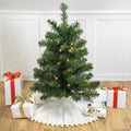 Northlight 3' Pre-Lit Full Canadian Pine Artificial Christmas Tree - Clear Lights