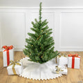 Northlight 3' Pre-Lit Green Medium Canadian Pine Artificial Christmas Tree  Clear LED Lights