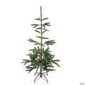 Northlight 4.5 Ft Slim Nordmann Fir Layered Artificial Christmas Tree - Unlit