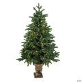 Northlight 4.5' Pre-Lit Potted Sierra Norway Spruce Slim Artificial Christmas Tree - Clear Lights