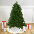 Northlight 4' Full Sierra Noble Fir Artificial Christmas Tree - Unlit