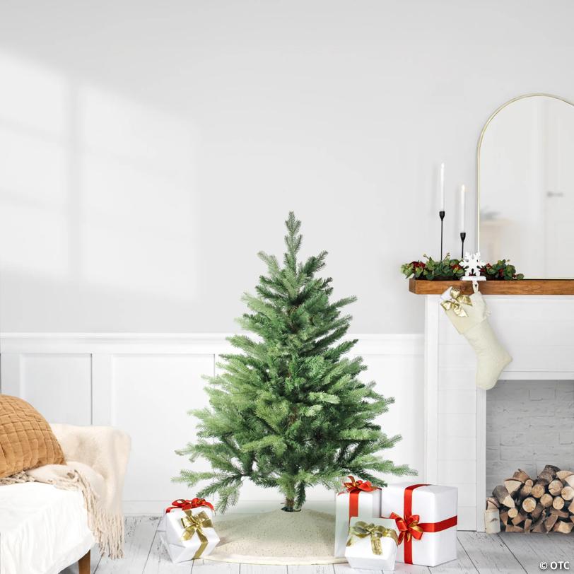 Northlight 4' Mixed Eden Pine Artificial Christmas Tree - Unlit