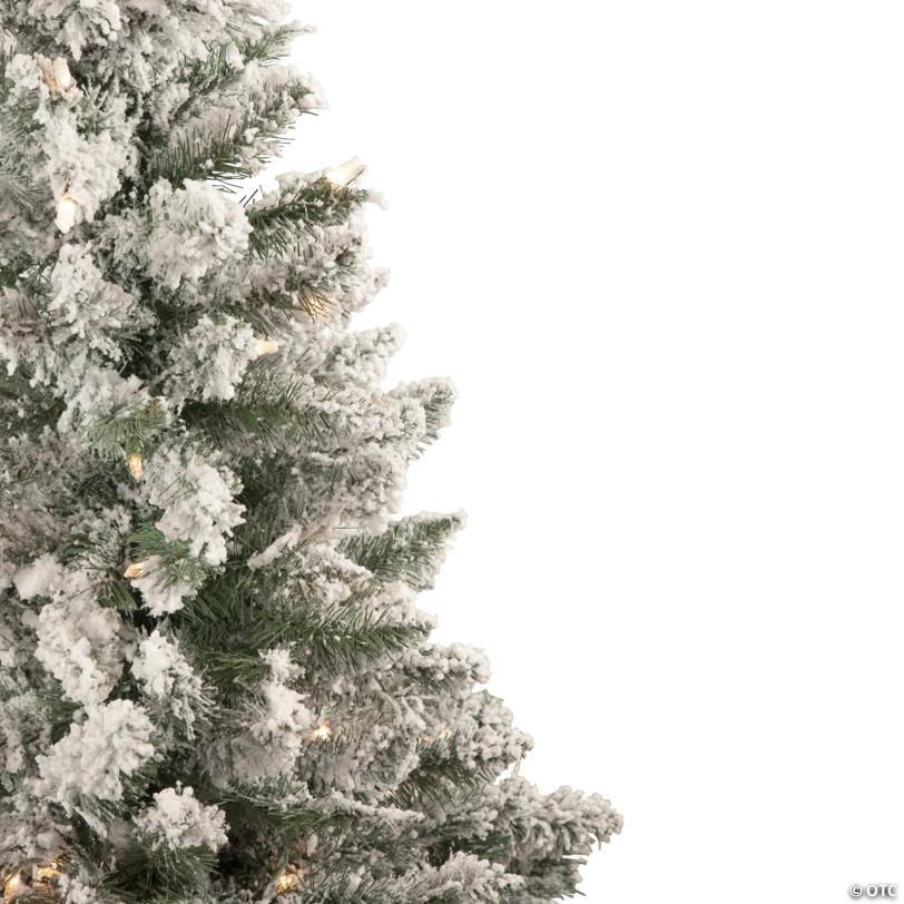 Northlight 4' Pre-Lit Flocked Pine Slim Artificial Christmas Tree  Clear Lights