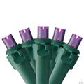 Northlight 50 Purple LED Wide Angle Christmas Lights - 16.25 ft Green Wire