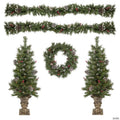Northlight 5-Piece Pre-Lit Frosted Verona Berry Pine Artificial Christmas Entryway Set