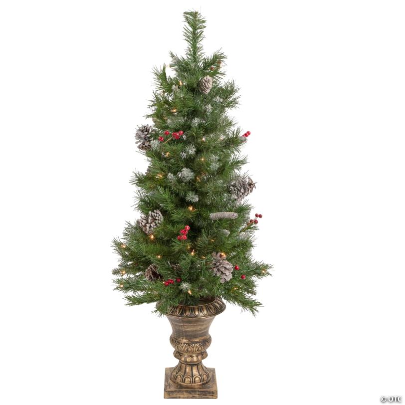 Northlight 5-Piece Pre-Lit Frosted Verona Berry Pine Artificial Christmas Entryway Set