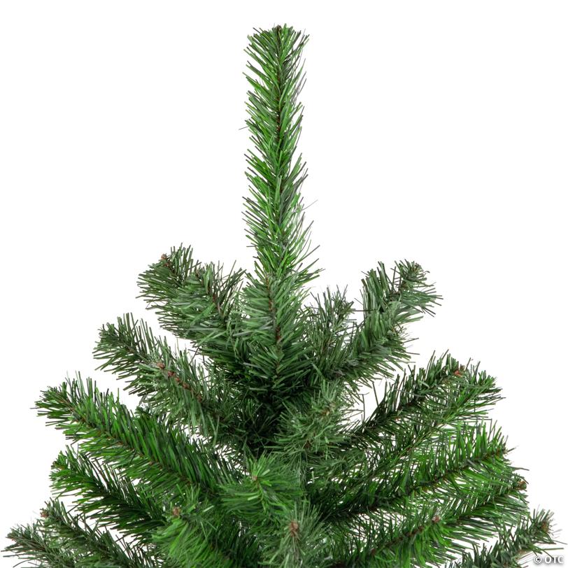 Northlight 5' Colorado Spruce 2-Tone Medium Artificial Christmas Tree - Unlit
