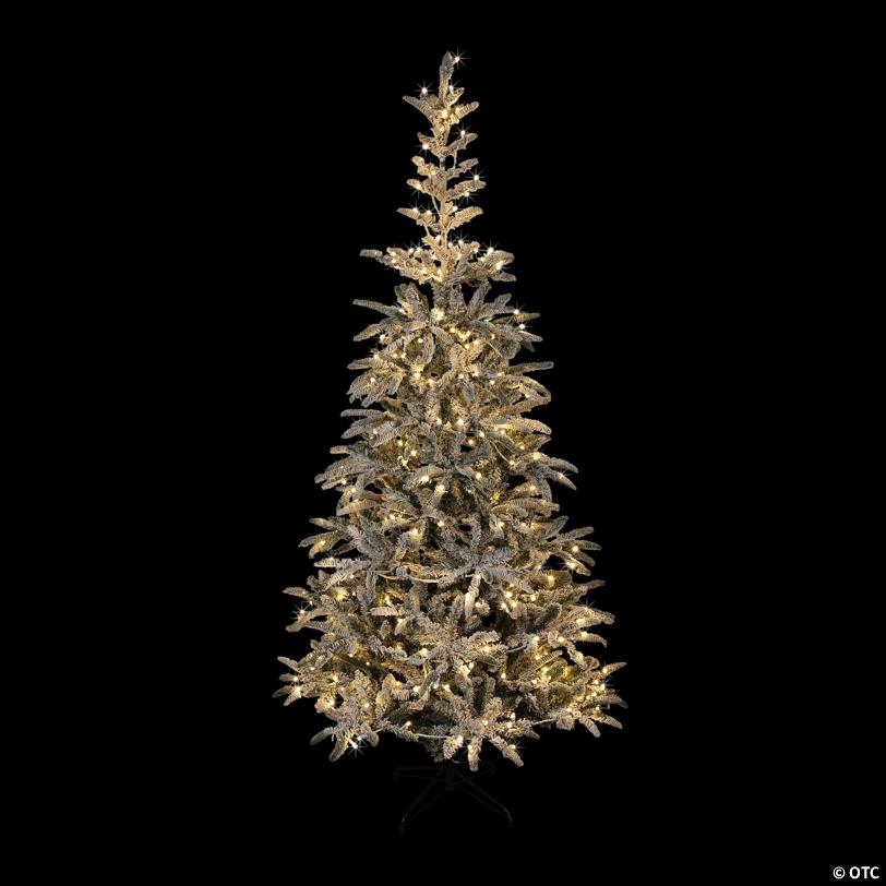 Northlight 6.5' Pre-Lit Flocked Slim Nordmann Fir Artificial Christmas Tree - Warm Clear LED Lights
