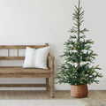Northlight 6.5' Pre-Lit Nordmann Fir Artificial Christmas Tree  Warm Clear LED Lights