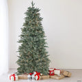 Northlight 6.5' Pre-Lit Slim Washington Frasier Fir Artificial Christmas Tree - Clear Lights