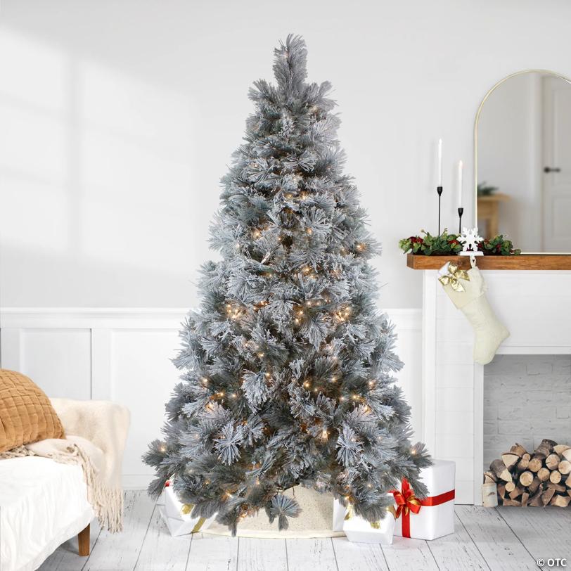 Northlight 7.5' Pre-Lit Black Spruce Artificial Christmas Tree - Clear LED Lights