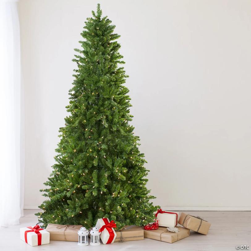 Northlight 7.5' Pre-Lit Slim Eastern Pine Artificial Christmas Tree - Clear Lights