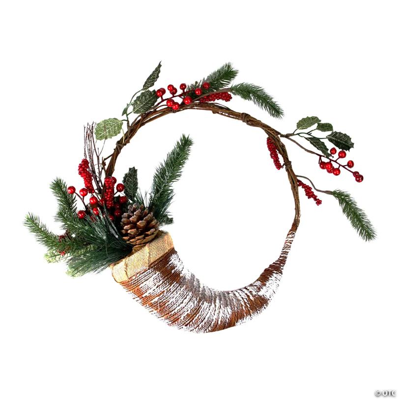 Northlight Frosted Cornucopia Artificial Christmas Wreath - 14-Inch  Unlit