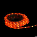 Northlight Orange LED Christmas Outdoor Linear Tape Lighting -30 ft Clear Tube