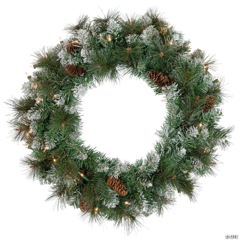 Northlight Pre-Lit Snow Valley Pine Artificial Christmas Wreath  24-Inch  Clear Lights