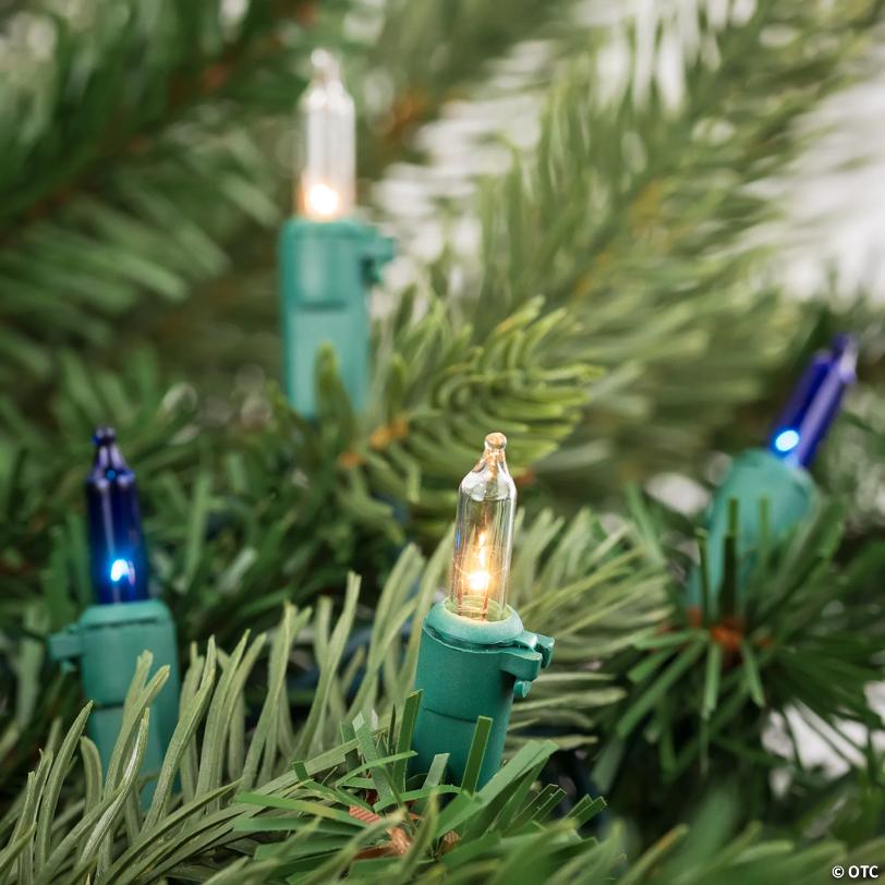 Northlight Set of 100 Blue & Clear Mini Christmas Lights 2.5" Spacing - Green Wire
