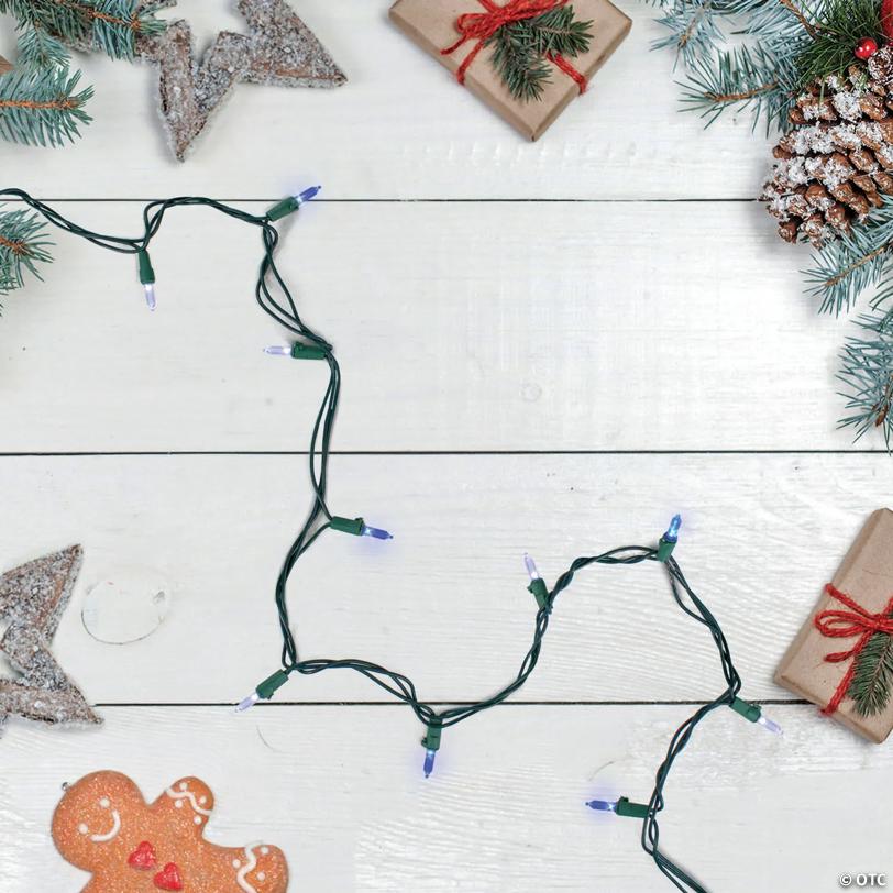 Northlight Set of 100 Blue & Pure White LED Mini Christmas Lights 4" Spacing - Green Wire