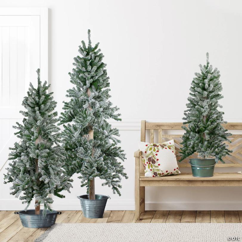 Northlight Set of 3 Flocked Alpine Artificial Christmas Trees 5' - Unlit