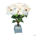 Northlight - 20" Pre-Lit White and Green Poinsettia Artificial Christmas Plant