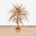 Northlight - 4' Potted Crystallized Glitter Full Artificial Tree - Unlit