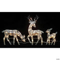 Northlight - Set of 3 White Glittered Doe  Fawn and Reindeer Lighted Christmas Outdoor Decoration