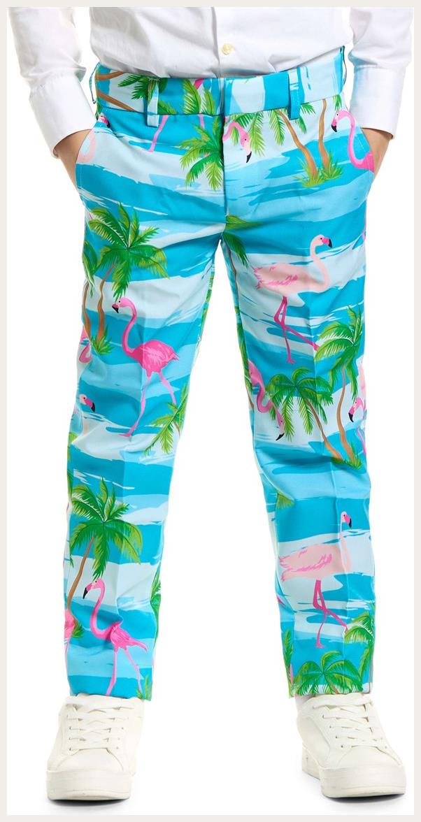 OppoSuits Boys' Suits BOYS Flaminguy